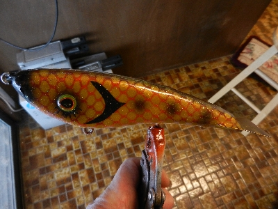 Click to expand / contract the width of this image