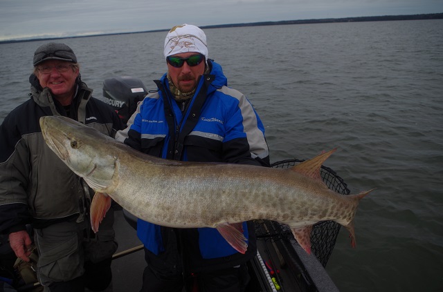 Click to expand / contract the width of this image