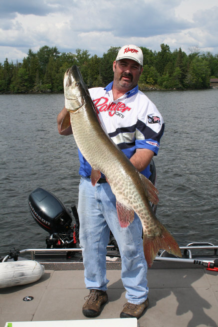 Click to expand / contract the width of this image