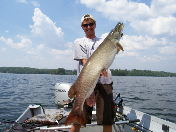 Click to expand / contract the width of this image