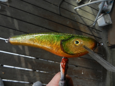 Click to expand / contract the width of this image