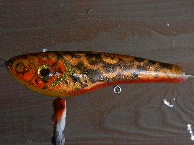 Click to expand / contract the width of this image