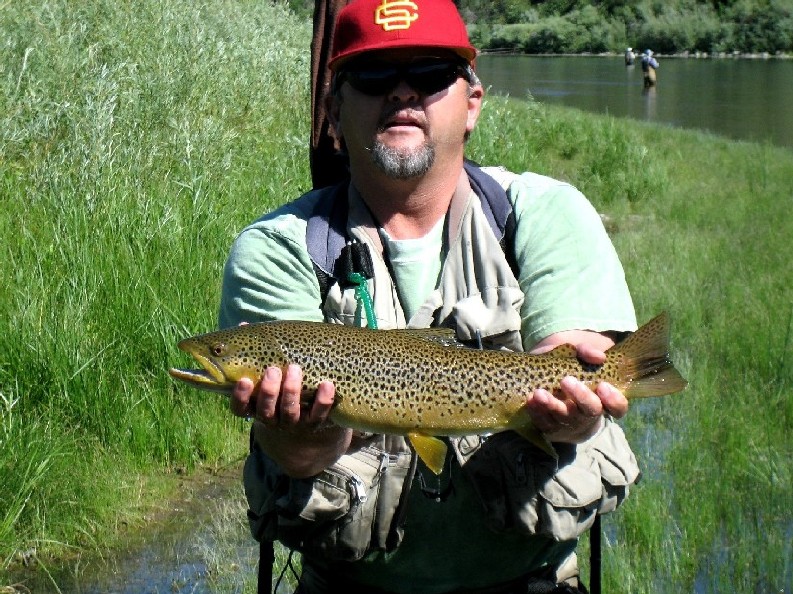 Click to expand / contract the width of this image