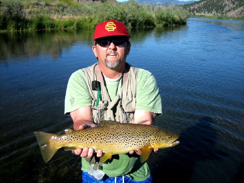 Click to expand / contract the width of this image