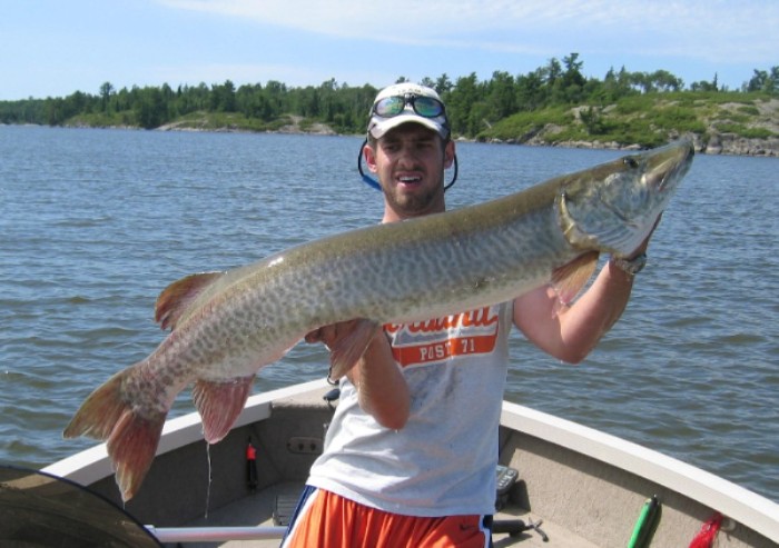 Click to expand / contract the width of this image