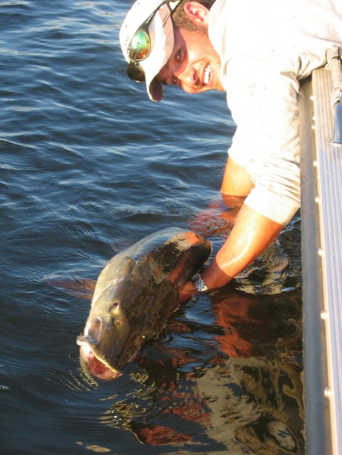 Click to expand / contract the width of this image