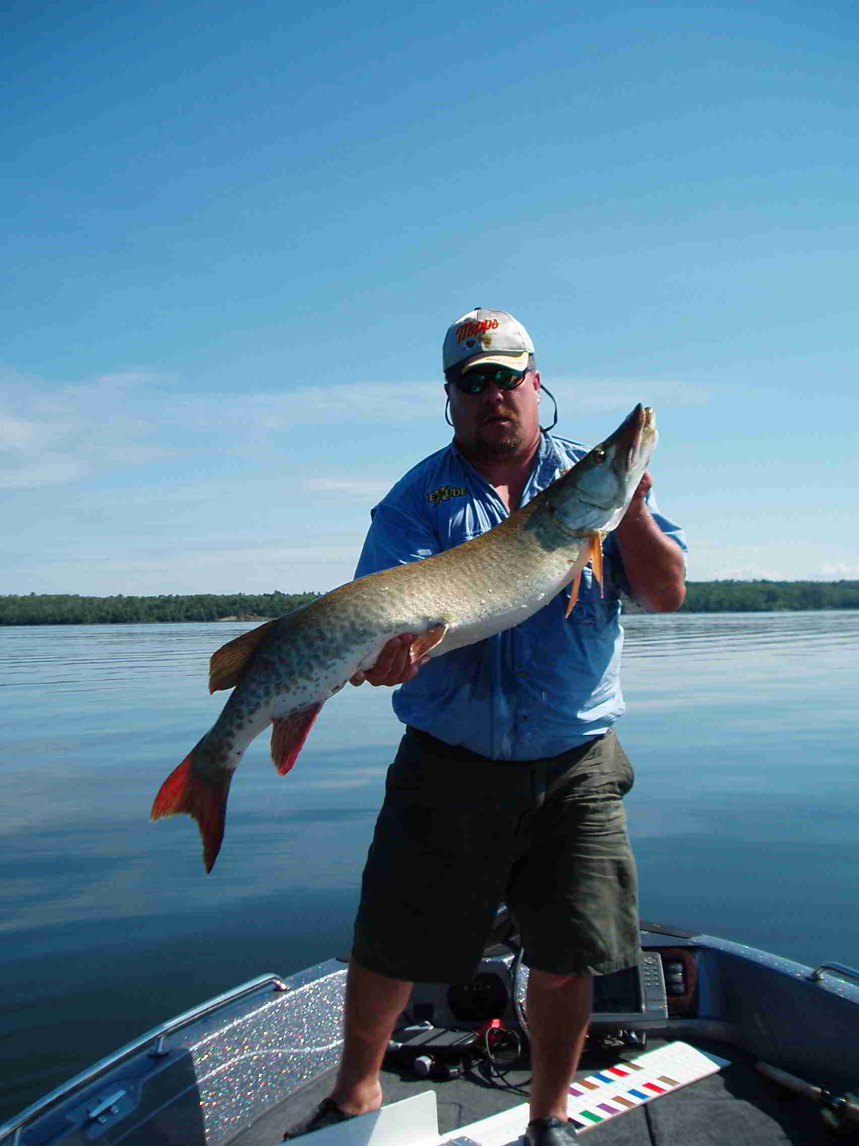 Click to expand / contract the width of this image