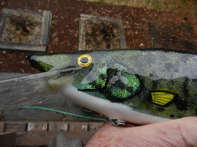 Click to expand / contract the width of this image