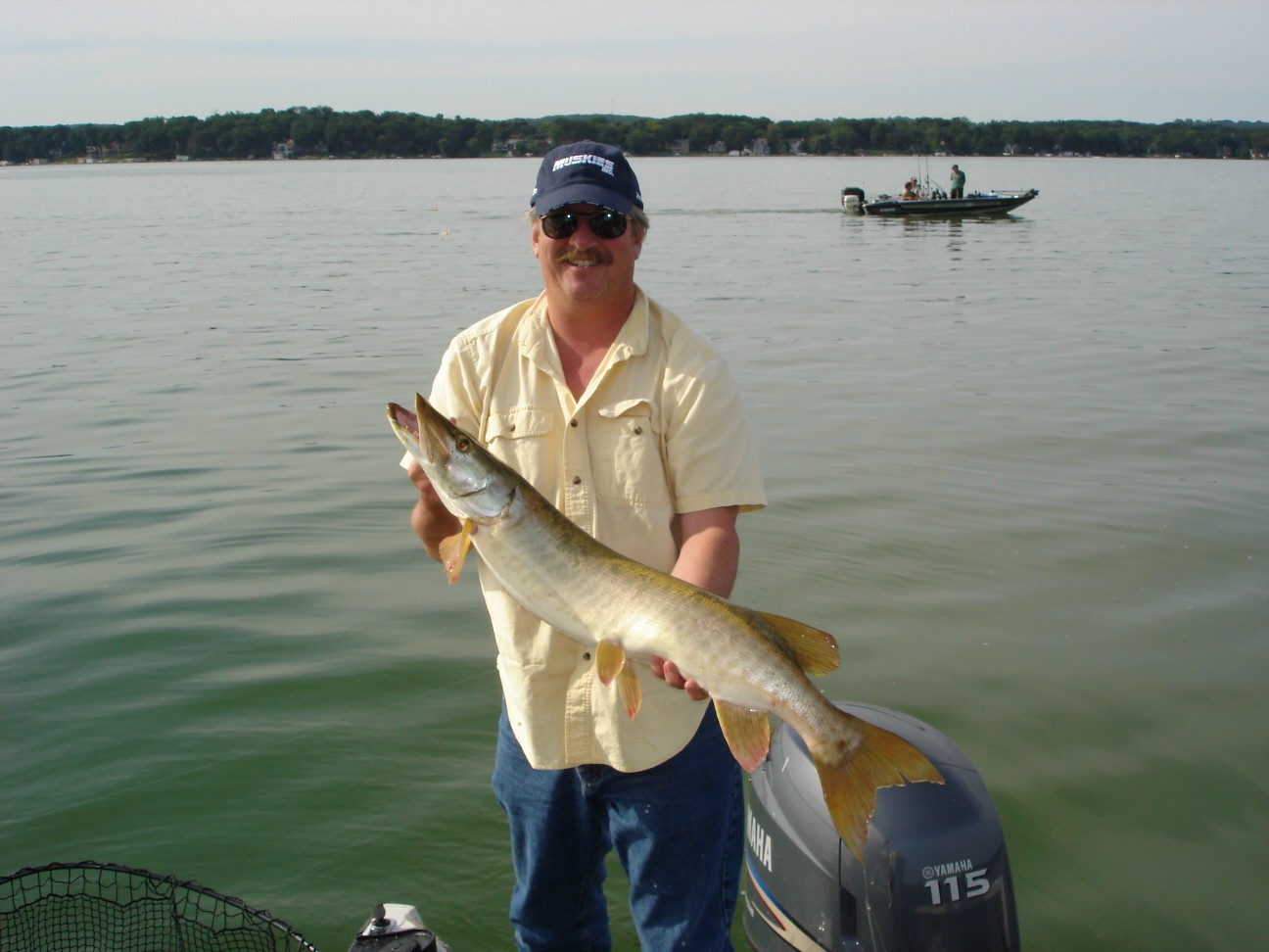 Click to expand / contract the width of this image