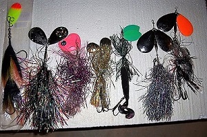 Click to expand / contract the width of this image