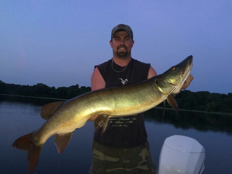 Giant Stalker 14' Silver Walleye