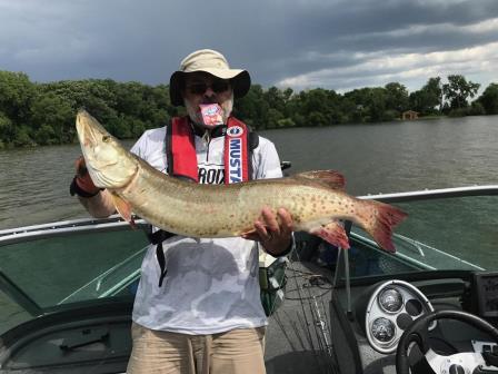 Click to expand / contract the width of this image