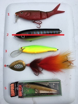 Click to expand / contract the width of this image