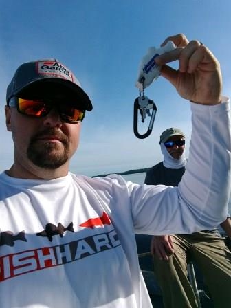 Click to expand / contract the width of this image