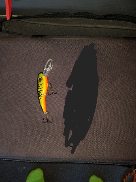 Click to expand / contract the width of this image