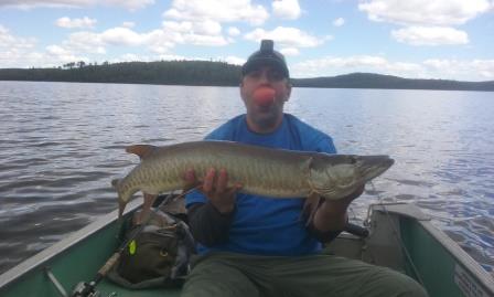 Click to expand / contract the width of this image