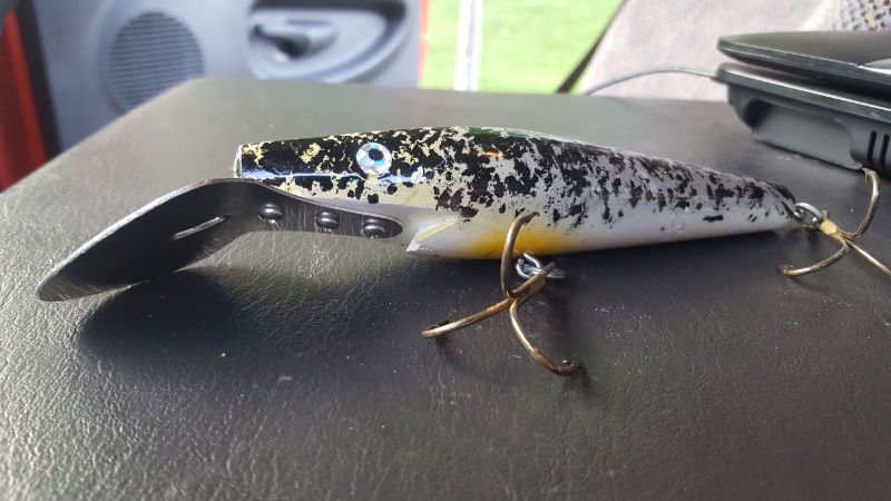 Click to expand / contract the width of this image