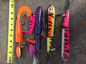 Click to expand / contract the width of this image