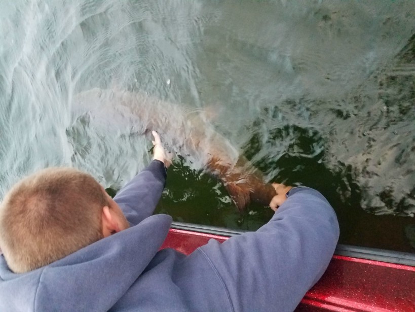 Click to expand / contract the width of this image