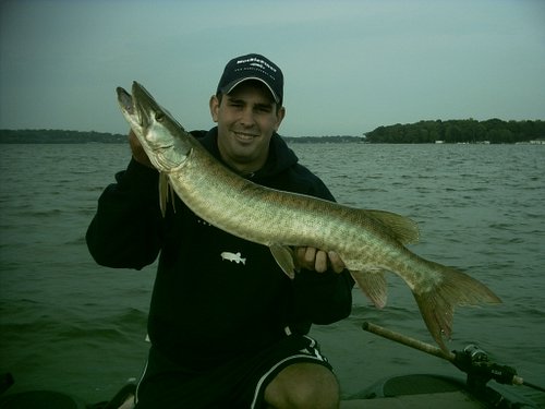 Muskie fishing Illinois with Musky Fix Fishing Guide Service. Muskie  fishing guide on the Fox Chain of Lakes in Illinois.