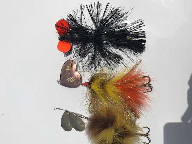 Click to expand / contract the width of this image