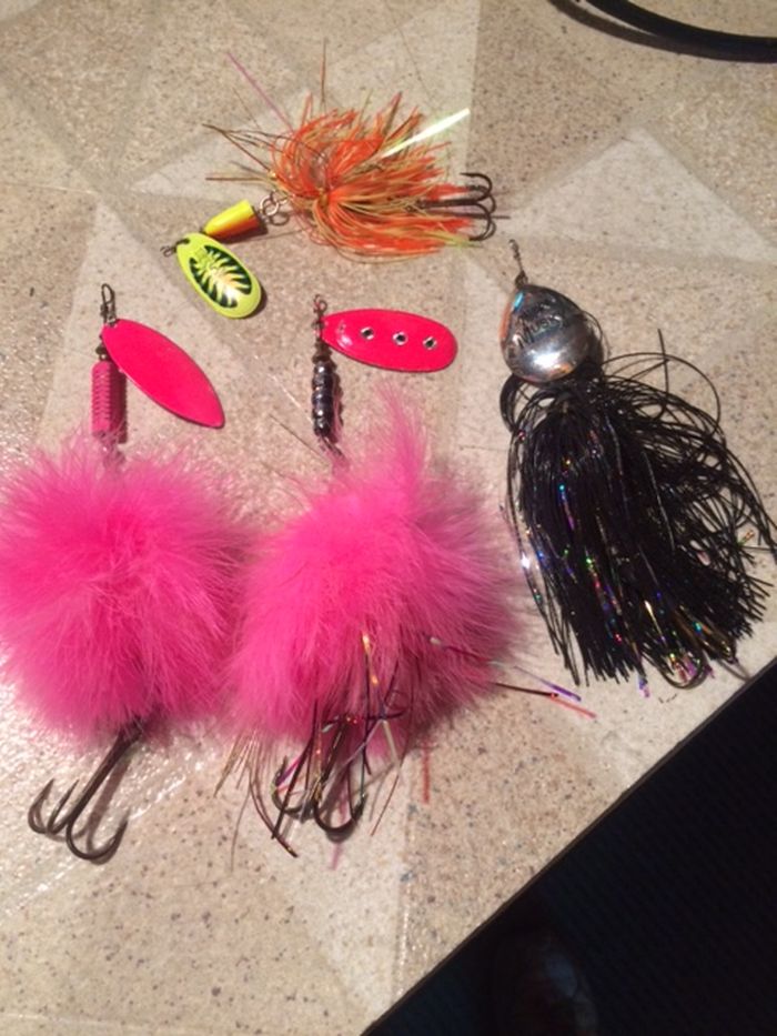 Click to expand / contract the width of this image