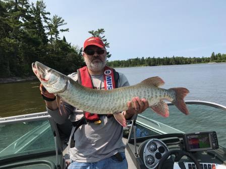 Click to expand / contract the width of this image