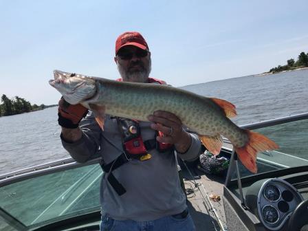 Click to expand / contract the width of this image