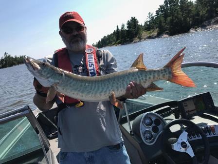 Click to expand / contract the width of this image