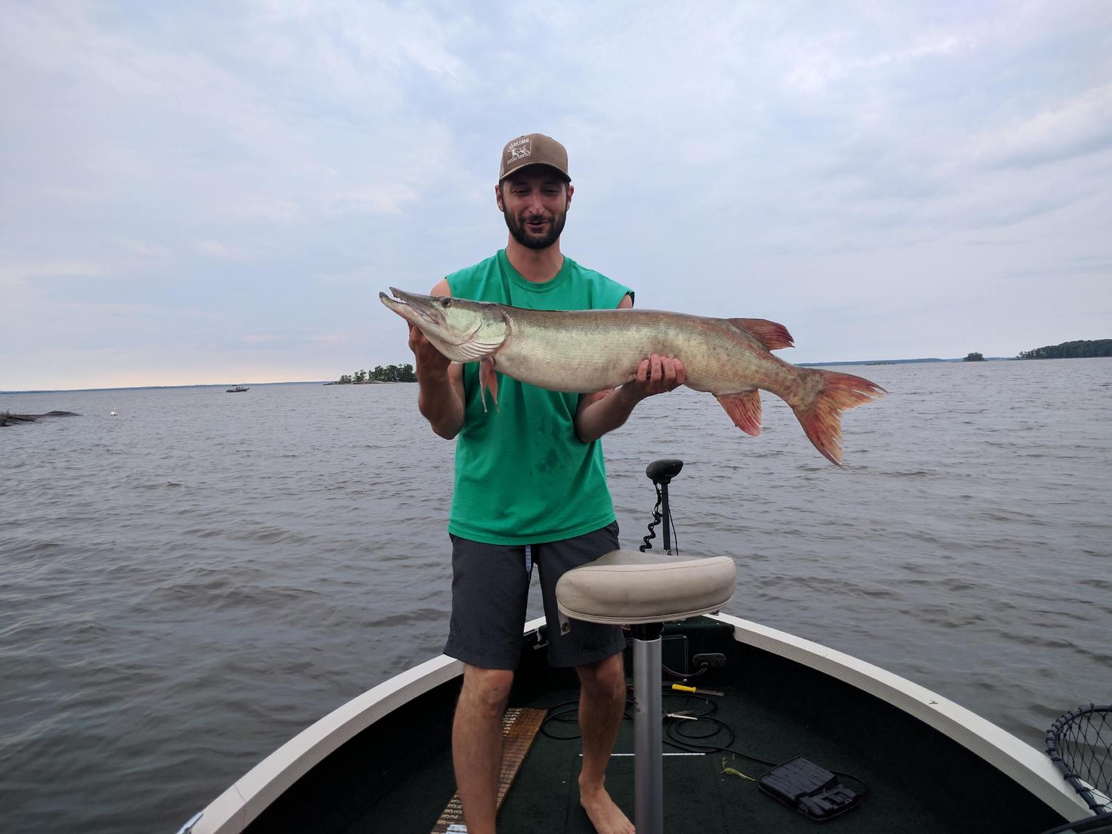 Click to expand / contract the width of this image