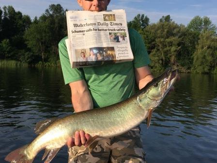 Click to expand / contract the width of this image