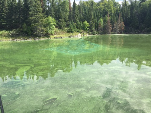 Click to expand / contract the width of this image