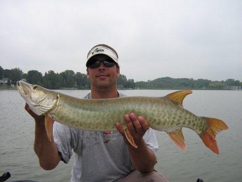 MuskieFIRST  South East Wisconsin Musky reports » Fishing Reports