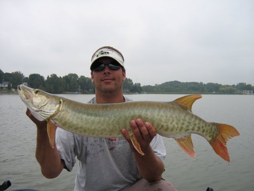 49 Muskie caught on 10lb test line with a baitcast reel on medium