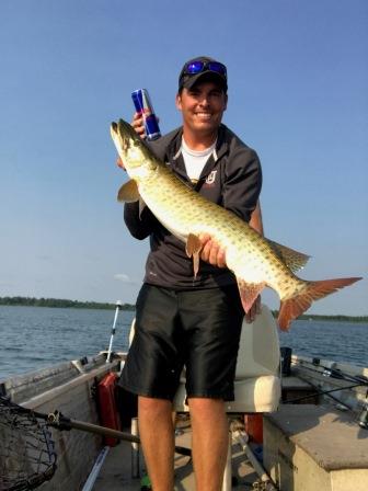 Click to expand / contract the width of this image