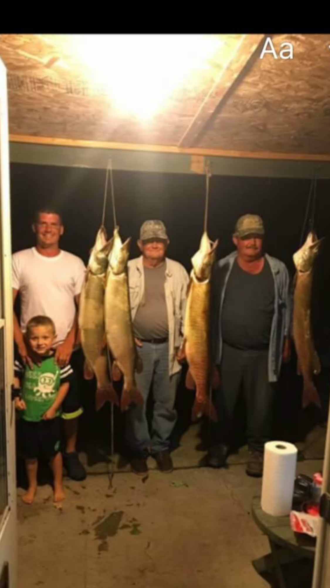 Click to expand / contract the width of this image