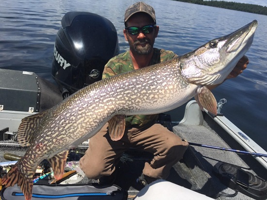 Click to expand / contract the width of this image