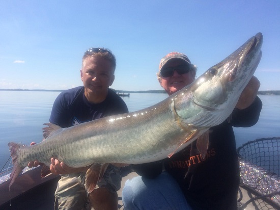 Click to expand / contract the width of this image