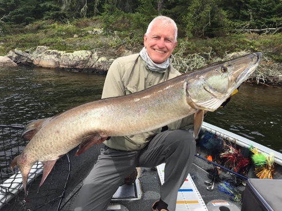 Click to expand / contract the width of this image