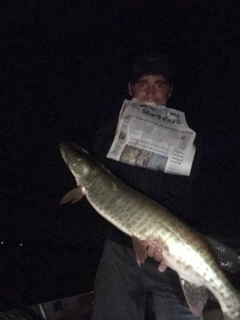 Click to expand / contract the width of this image