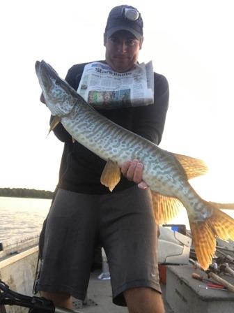 Click to expand / contract the width of this image