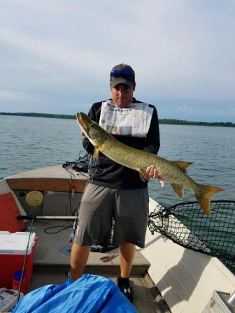 Click to expand / contract the width of this image