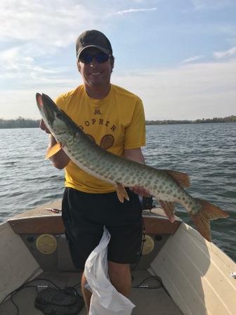 Click to expand / contract the width of this image