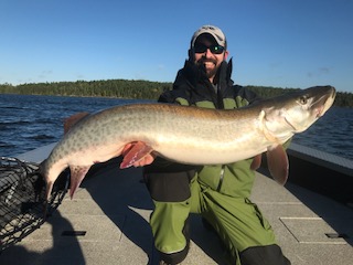 Click to expand / contract the width of this image