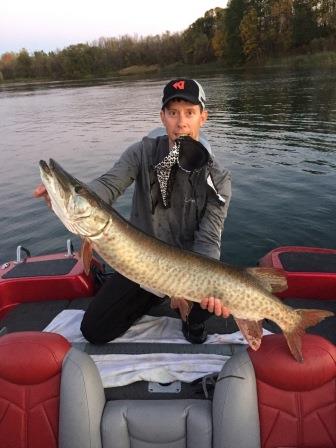 Click to expand / contract the width of this image