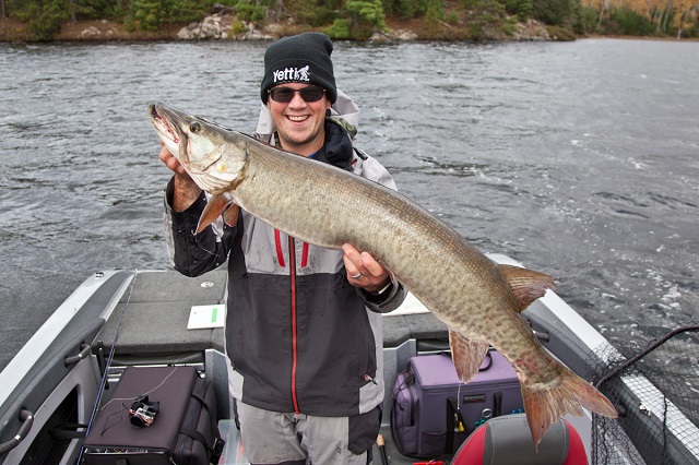 Click to expand / contract the width of this image