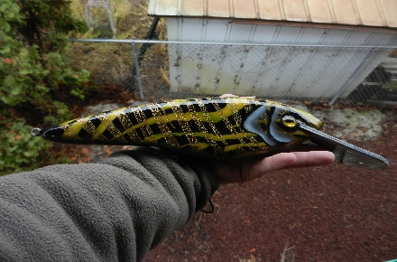 Click to expand / contract the width of this image