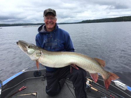 Click to expand / contract the width of this image