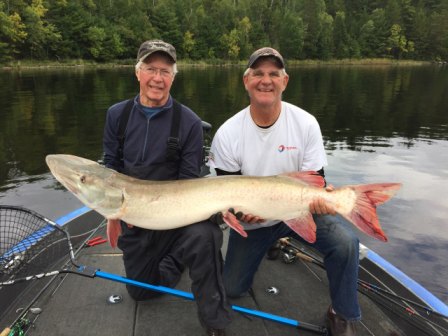 Click to expand / contract the width of this image