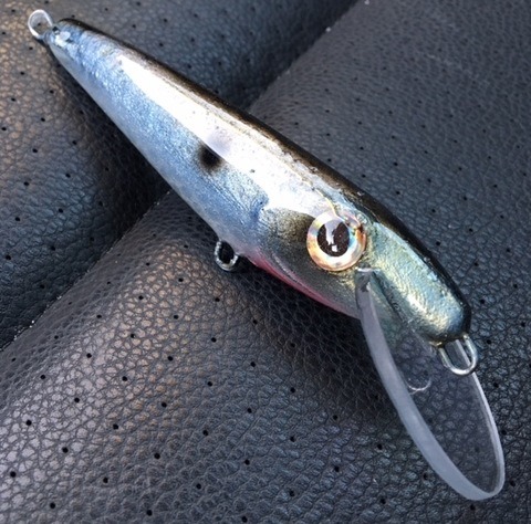 Click to expand / contract the width of this image